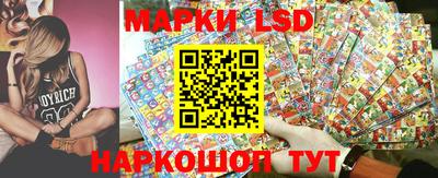ПСИЛОЦИБИНОВЫЕ ГРИБЫ Заволжье